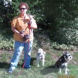 Keeping your prize possession safe, happy, and healthy