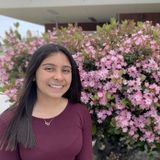 House Sitter for Hire