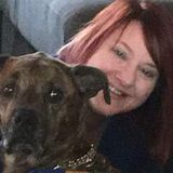 Dawn's Dogwalks & Cat Chats!