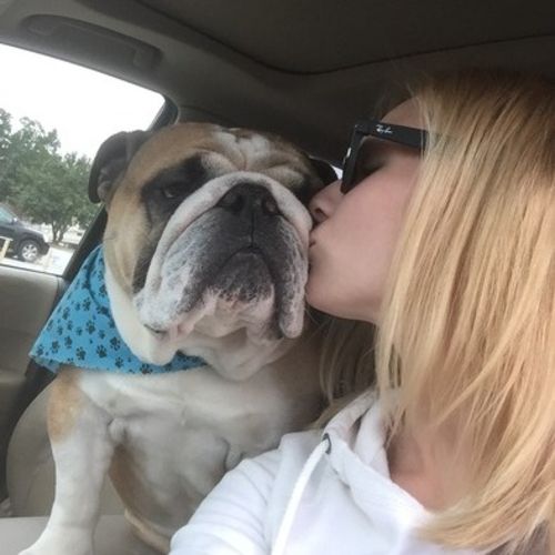 Pet Care Provider Cheyenne Orsak's Profile Picture