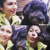 Trustworthy and responsible animal lover - Available Immediately