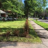 Your go to Landscapers!