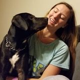Pet care