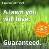 Affordable Fertilization, weed control, and lawn care (America's 1 lawn care company)