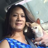 Dependable House/Pet Sitter