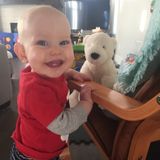 Calgary Sitter Job