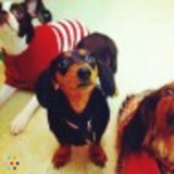 We will treat your pet just like our own!