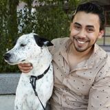 Looking for a dog walker/ sitter Im the guy you need