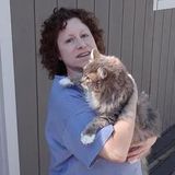 West side suburbs - House Sitting & awesome Pet Sitter Provider is Interested In Job Opportunities!
