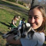 Vet Student/Pet Sitter Here To Help!