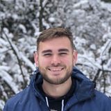 Dog Walking Offered in Davis