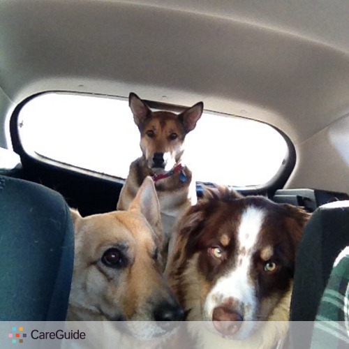 Pet Care Provider Billy Isenor's Profile Picture