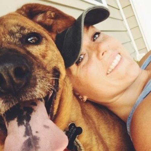 House Sitter Provider Katie Liguori's Profile Picture