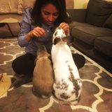 Super fun and Caring Pet sitter