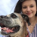 Pet Sitting Offered in Quincy