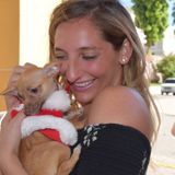 St. Bonaventure Student interested in helping out with your pets!