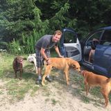PawMates Professional Pet Care - Convenient & Affordable Care For Your Pets!
