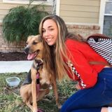 Animal Enthusiast!