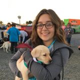 Experienced pet care provider!