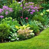 Professional Garden Maintenance