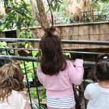Booking a Flexible Home Daycare Provider in Hamilton