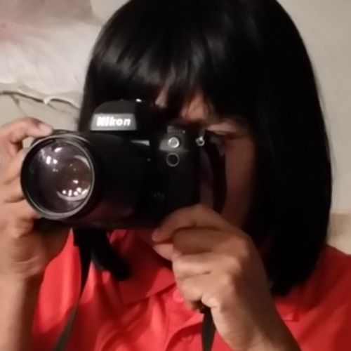 House Sitter Provider Linda Perdue's Profile Picture