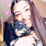 Consistent Pet Sitter in El Paso, Texas