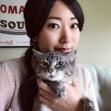 Looking for a cat loving pet sitter (Seattle, Capitol Hill)
