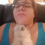 Great pet care provider with plenty of experience