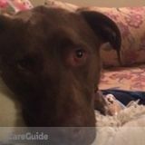 Dog walker needed for one dog.