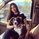 Salinas Dog Walker Looking For Work in California