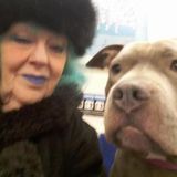 Loving Animal Care worker in Toronto, Ontario Available for your Holiday pet needs! Experienced with large breeds too!