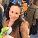 Responsible Chicago Suburbs House Sitter Seeking Job Opportunities in Chicagoland