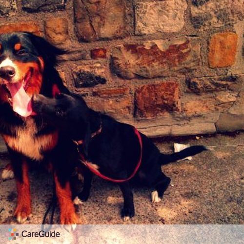 Pet Care Provider Nicholle B's Profile Picture