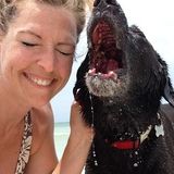 Compassionate animal lover who loves walking dogs young & old