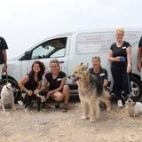 Experienced Pet Care Provider ( Special Needs Experience)