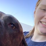 Interested In Animal Sitting/Walking Jobs