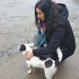 Your Friendly Neighbourhood Pet Sitter & More!