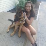 Looking for a job taking care of pets