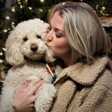 Dog Lover looking for furry friends to care for