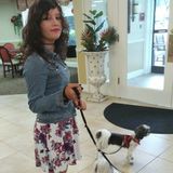 Clearwater Dog Sitter/walker