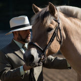 Reliable person needed to feed / care for horses and dogs during the month of December 2018