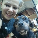 Skillful and Passionate Pet Sitting Available