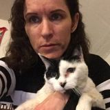 Need an employment in catsitting and dog walks