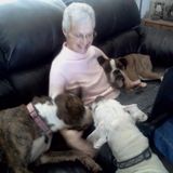 Available: Wonderful and experienced pet sitter in Joshua Tree area.