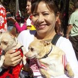 Dependable Animal Caregiver For Senior and Special Needs Pets