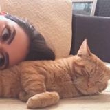 Winnipeg Pet Sitter Searching for Being Hired