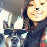 Qualified Pet Sitting Available Now!