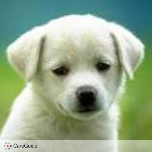 Pet Care Provider Carlos A's Profile Picture