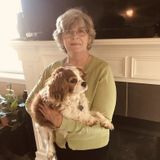 We are a husband/wife team or can work individually. We are recently retired and seeking a little supplemental income.